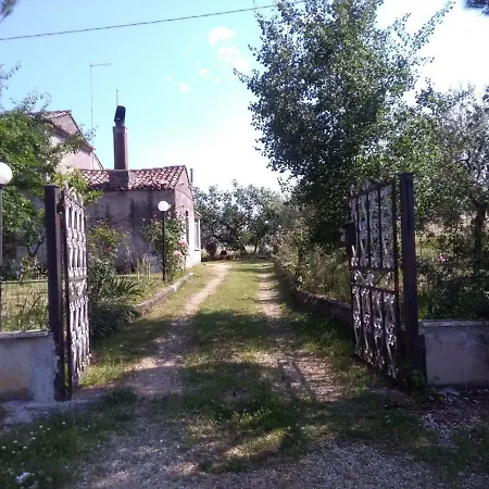 Piccolo Uliveto Veroli