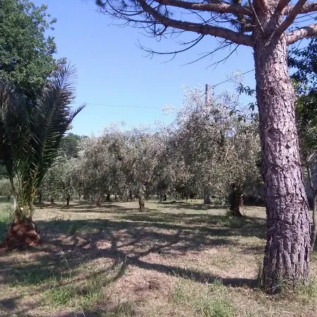 Летний дом Piccolo Uliveto Veroli